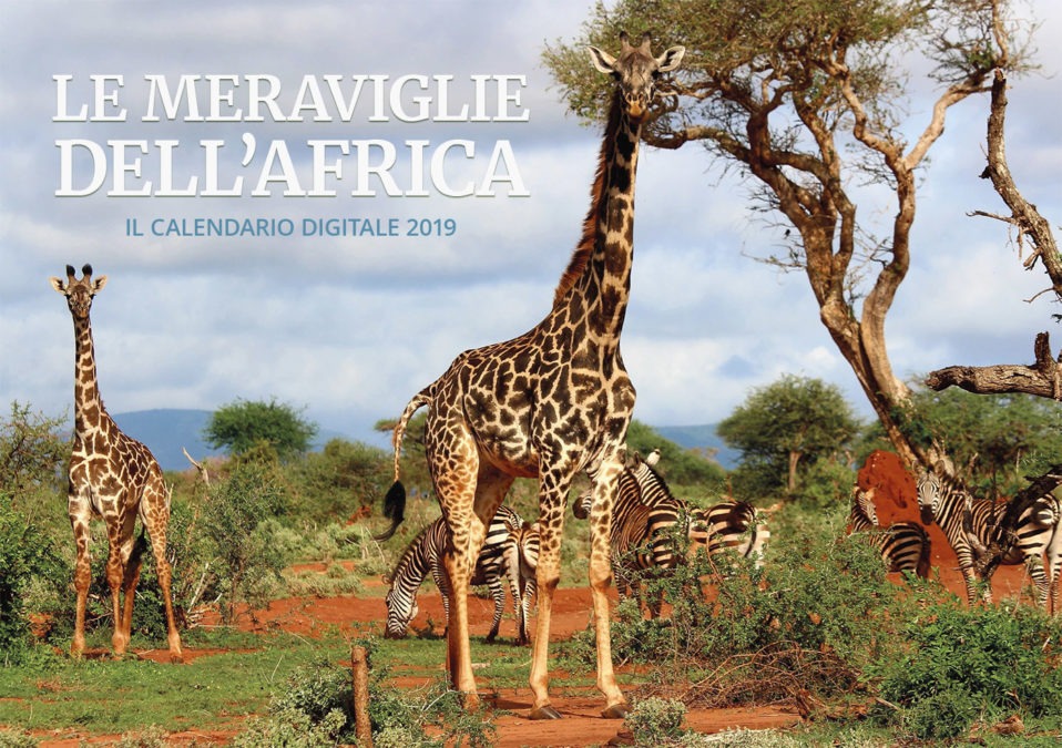 FdS - Le meraviglie dell'africa 2019